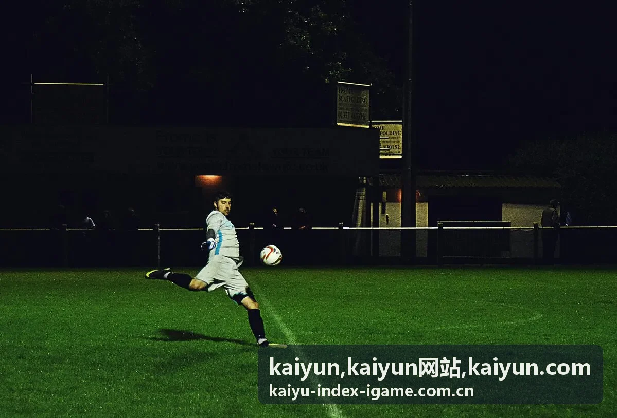 kaiyun网站阅读建议与专题导航卡片